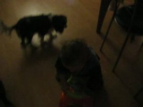 les premiers pas en camion de theo