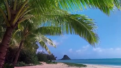 VAIANA Le Film avec Dwayne Johnson (2025)