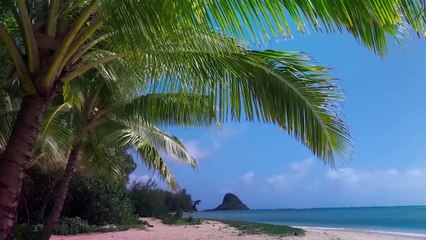 VAIANA Le Film avec Dwayne Johnson (2025)