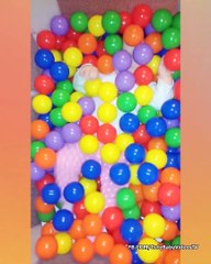 Funny Baby Reacts to Toys - Funny Baby Videos