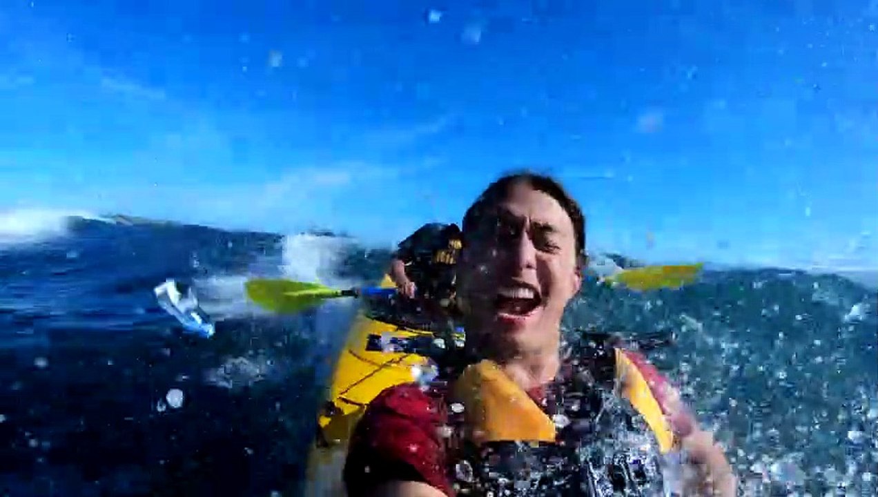 A seal slaps a kayaker with an octopus   Un phoque gifle un kayakiste avec un poulpe