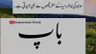 Quotes About Love MAA Baap_Urdu Quotes_#trueline #اقوال_زریں