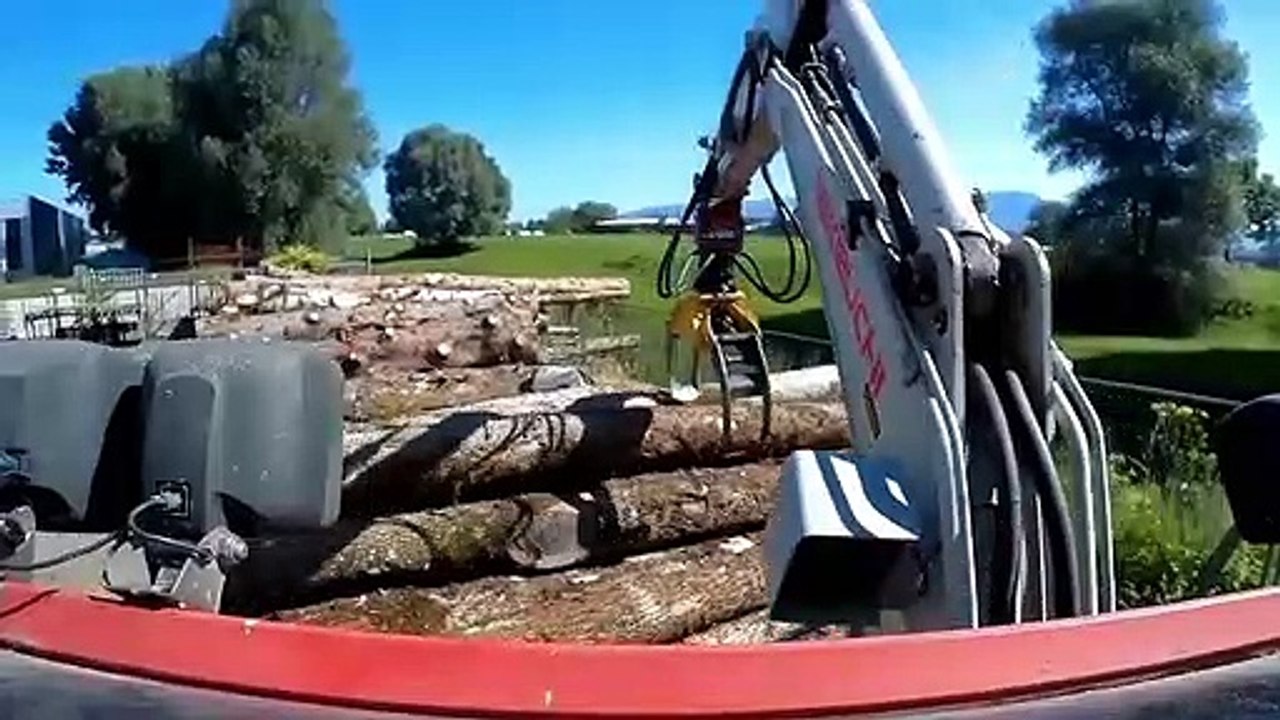 Démolition d'arbres en une seconde ! Les travailleurs les plus rapides du monde