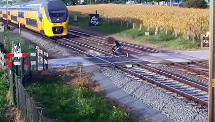 25 PERSONNES LES PLUS CHANCEUSES PRIS EN CAMÉRA