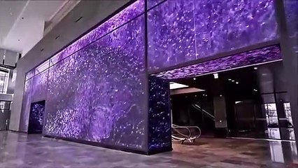 Il est impossible d'oublier ! Des choses inattendues prises en photo