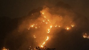 Khẩn trương dập tắt vụ cháy rừng trong đêm ở Sơn La
