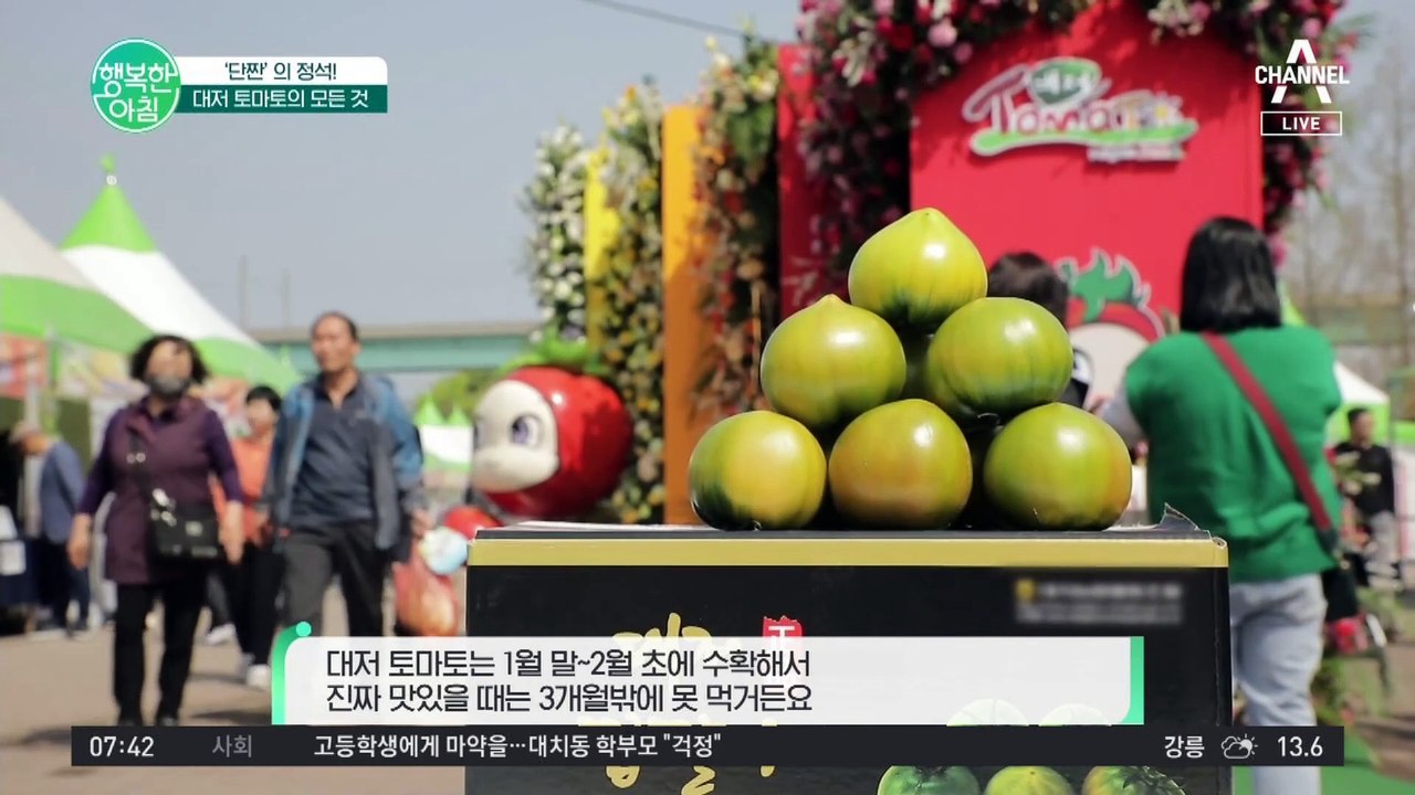 [#행복한아침] 단짠의 정석은 바로 '토마토'! 토마토로 삶의 질 100% 높이는 방법