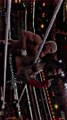 Roman Reigns beat Cody Rhodes at WrestleMania 39
