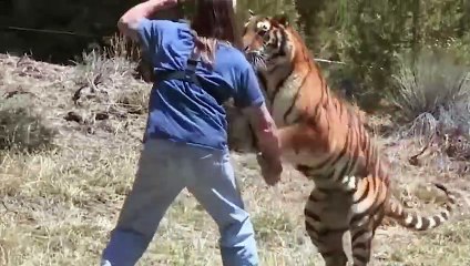 It is Impossible to Forget! 1 in 1,000,000 Animal Moments Caught On Camera