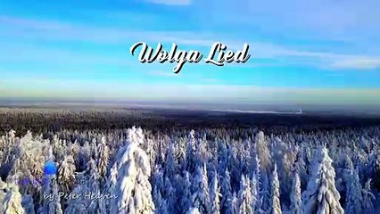 WOLGALIED ✨✨✨Peter Heaven & Blue Light Orchestra - Instrumental music in its most beautiful way