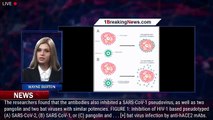 Anti-ACE2 Monoclonal Antibodies To Prevent And Treat COVID-19 - 1breakingnews.com