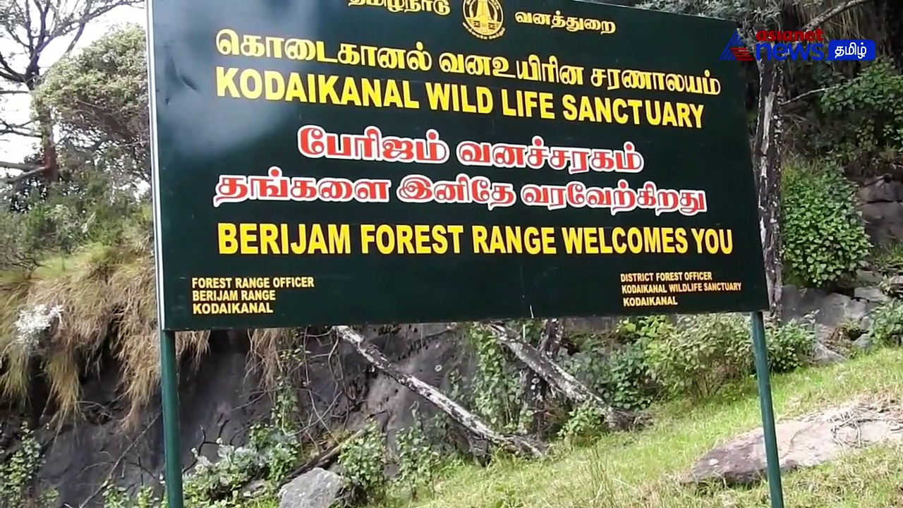 Watch : கொடைக்கானல் பேரிஜம் ஏரியில் முகாமிட்டுள்ள யானைக் கூட்டம்! சுற்றுலா பயணிகள் செல்ல தற்காலிக தடை!