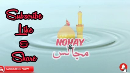 Allama Syed Riaz Hussain Shah Ratowal