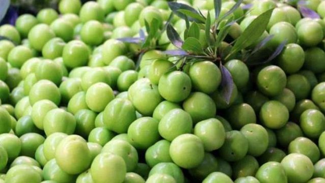 Erikte cep yakan fiyat! Kilosu 300 liradan satılınca, vatandaşlar sadece tadımlık alabiliyor