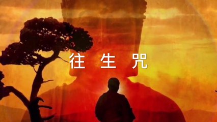 往生咒 Amitabha Pure Land Rebirth Dharani  3遍 敬善媛