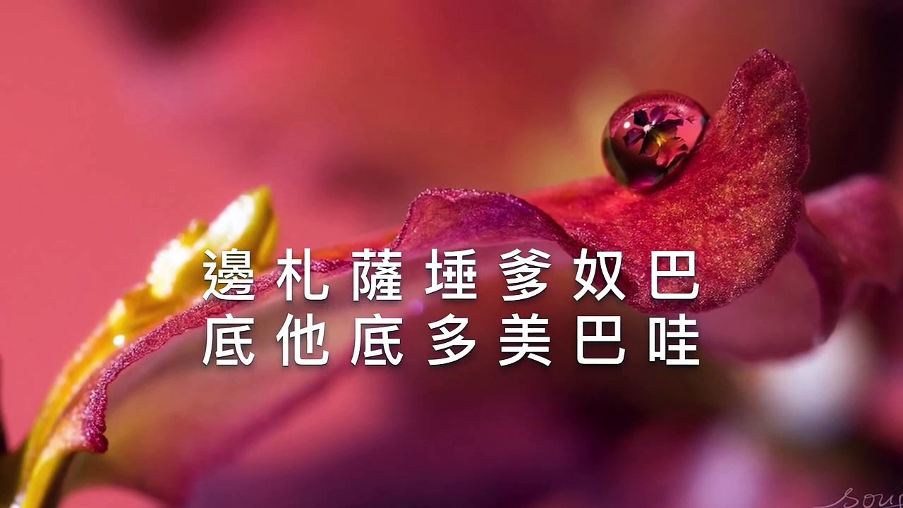百字明咒 3遍 王菲 100 Syllable Mantra of Vajrasattva Faye Wong