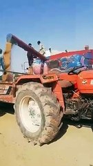 Gandam ki katai