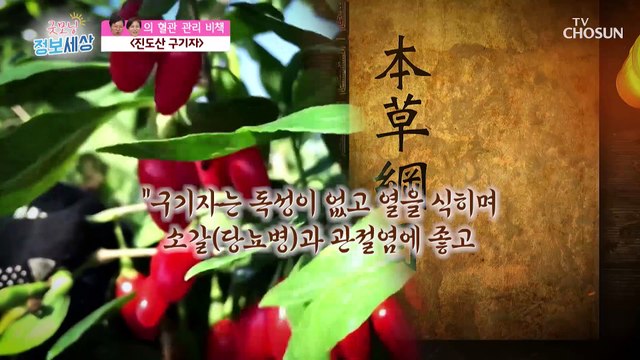 『 진도산 구기자 』 혈관 관리를 위한 특별한 비책 TV CHOSUN 230406 방송