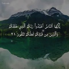 Al Quran Tilawat #quran  #holyquran #shorts #viral #alquran #status #beautiful #trending
