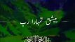 Tilawat Quran Beautiful Recitation /Islamic video/shorts/تلاوت قرآن مجید/.