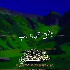 Tilawat Quran Beautiful Recitation /Islamic video/shorts/تلاوت قرآن مجید/.
