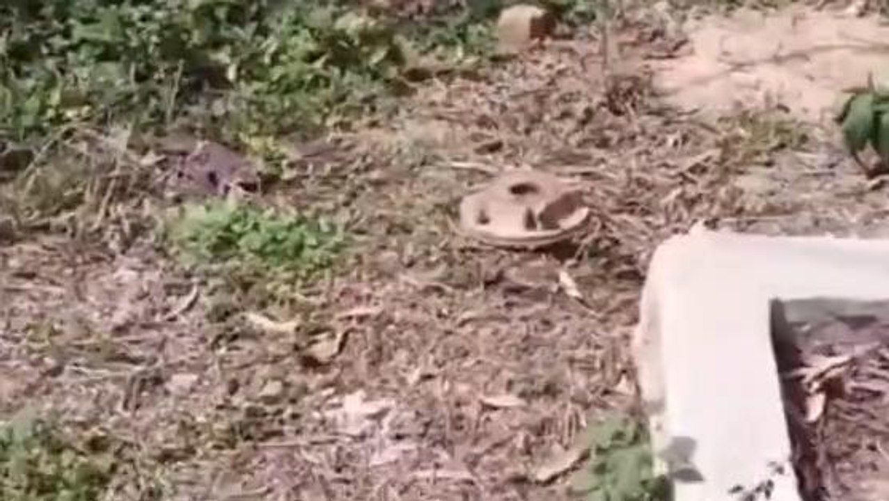 বীরভূমঃ পঞ্চায়েত সদস্য খুলে নিয়ে গেছে পানীয় জলের কল!সীমাহীন কষ্ট