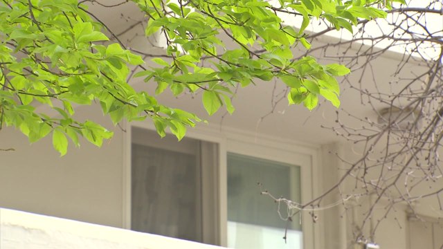 검찰, '대장동 비리' 천화동인 6호 소유자 압수수색 / YTN