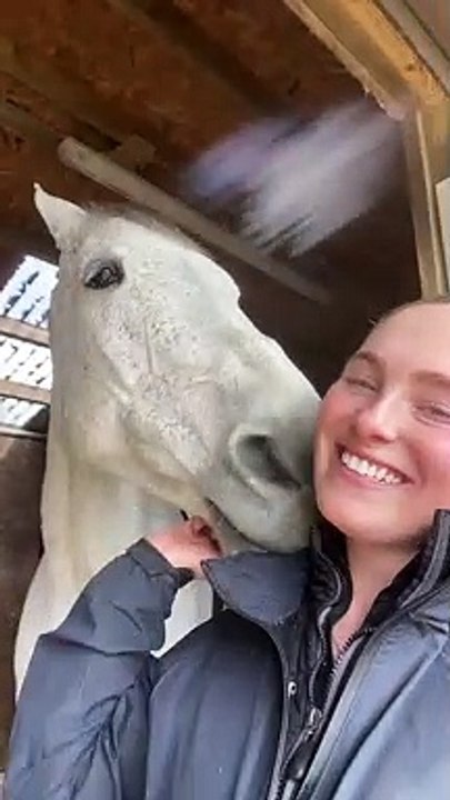 Affectionate Equine Shows Some Love