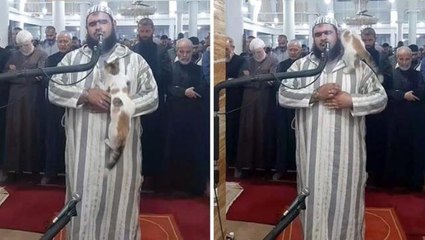 Teravih namazında imama kedi sürprizi! O anlar yüzleri güldürdü