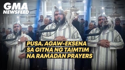 Pusa, agaw-eksena sa gitna ng taimtim na Ramadan prayers | GMA News Feed