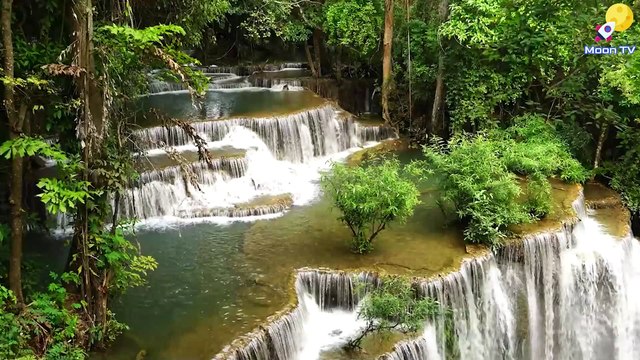 Zen Meditation Music for Mindful Living