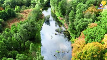 Calming Music for Anxiety and Stress Relief