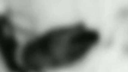 అనంతపురం: ప్రైవేట్ ఆస్పత్రిలో లిఫ్ట్ కిందపడి వ్యక్తి దుర్మరణం