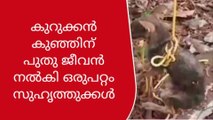 കുറുക്കൻ കുഞ്ഞിന് പുതു ജീവൻ നൽകി രാമൻകുത്തിലെ യുവാക്കള്‍