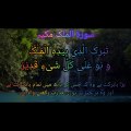 surah mulk abdul rahman mossad|سورۃالملک اردو ترجمہ کے ساتھ|quran with peace