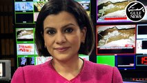 Supriya Shrinate to Nidhi Razdan: “A lot of what BJP does is based on lies”