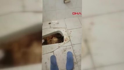 ÇÖP EVDE BULUNAN 1,5 YAŞINDAKİ ASEL, DEVLET KORUMASINA ALINDI