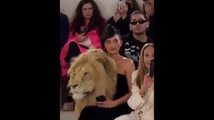 Funny Girls Fails ! Funny Women Fail Videos Of all time #33