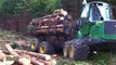 Danger Fastest Chainsaw Cutting Tree Machines_ Big Felling Tree Heavy Equipment Machine(240P)