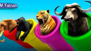 Funny Pipe With Gorilla, Zombie T-Rex, Tiger, Buffalo | Educational Video For Children #3danimation