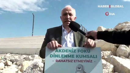Nesli tükenme tehlikesi altındaydı... Mersin sahillerinde görüldü!