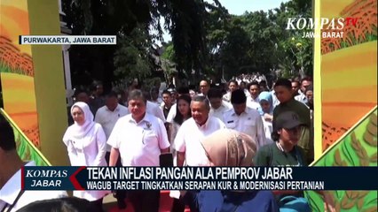 Modernisasi pertanian tekan inflasi pangan, bisa?