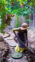 Enjoy beautiful nature with rural life