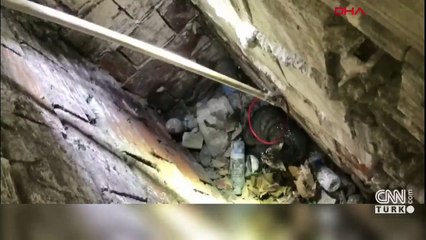 Havalandırma boşluğundaki yavru kediler duvar kırılarak kurtarıldı