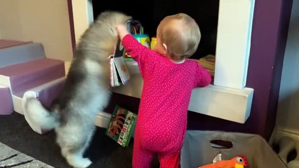 Adorable Puppy Meets Baby And Its Love At First Sight! The Best Years Of Their Lives (Cutest Ever!!)