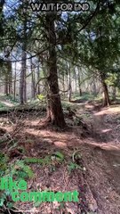 Tranding shorts on youtube-Tranding shorts video- tranding shorts channel#tranding #viral #shorts 06 (3)