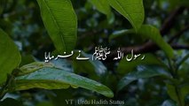 Hadees In Urdu Status For Whatsapp __ Hadees Status New Video __ ✨Urdu Hadith Status✨