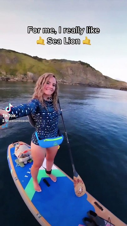 Buy Sup Paddle Boards - Sea Lion Boards