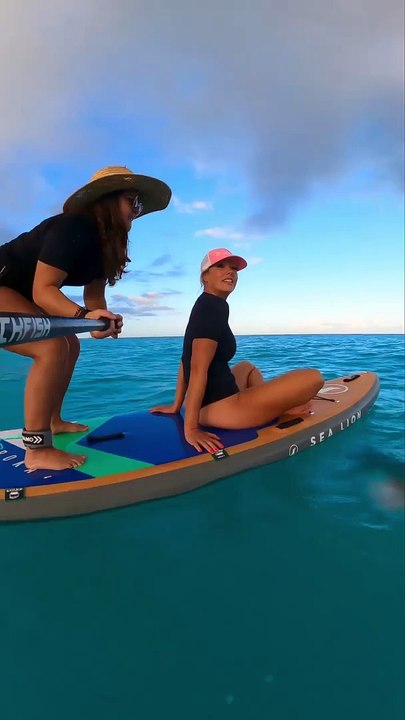 Choose Us For Sup Boards Inflatable Uk - Sea Lion Boards