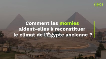 Comment les momies aident-elles à reconstituer  le climat de l'Égypte ancienne ?